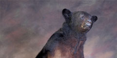 bear taxidermy